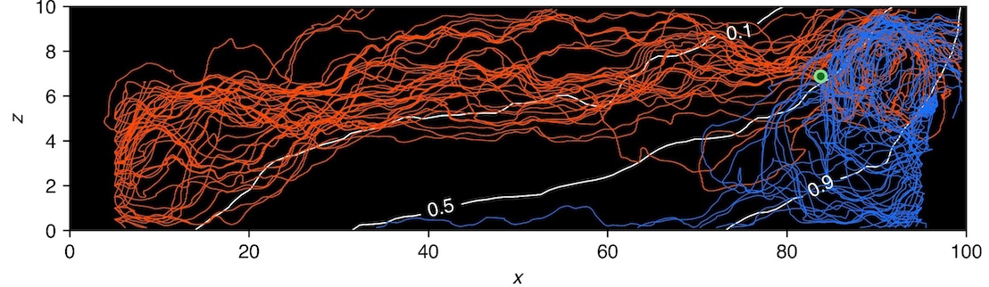 Pathlines illustrating chaotic mixing in a three-dimensional heterogeneous coastal aquifer under transient forcing