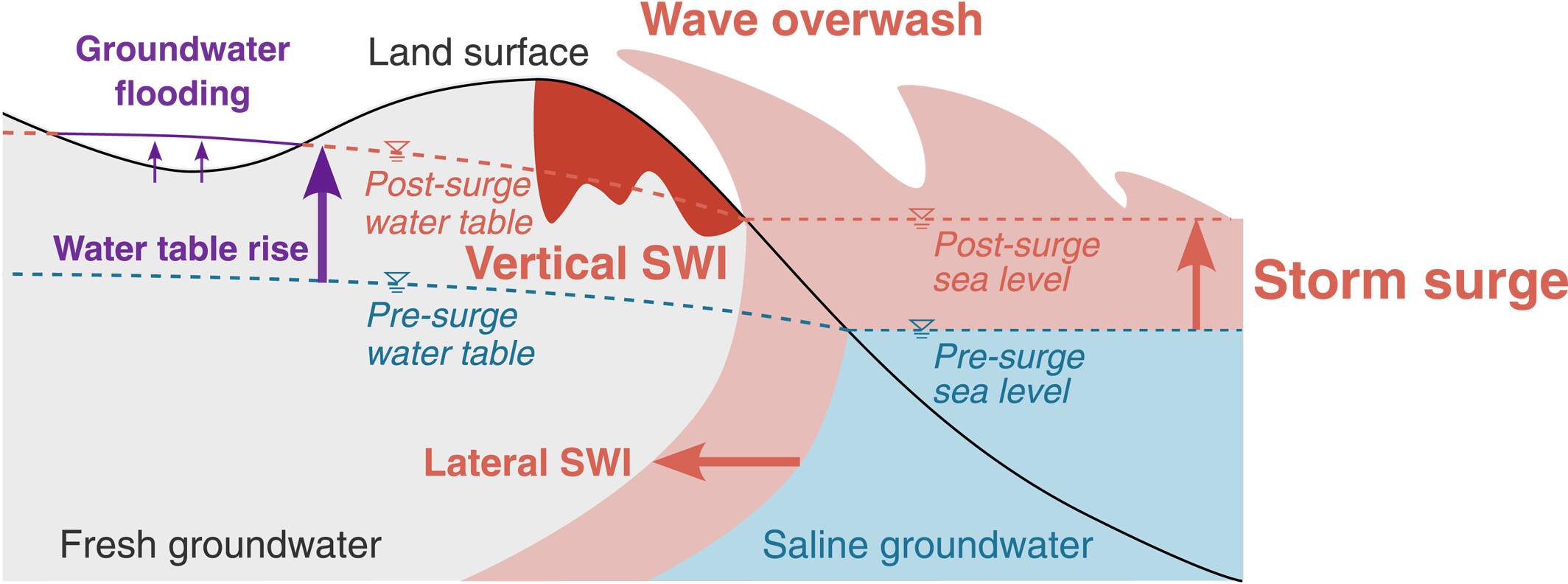 Schematic of storm–surge impacts on the coastal surface–subsurface continuum